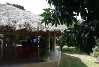 Muere niño de tres años en Baní tras caer en un jacuzzi