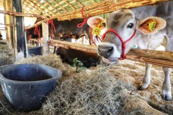 Medidas del Ministerio de Agricultura en contra de la sequía