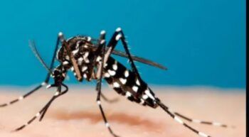 Emiten alerta ante propagación de la chikungunya en RD