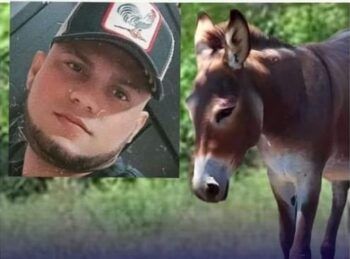 Hombre pierde todos sus dientes tras tener relaciones con una burra