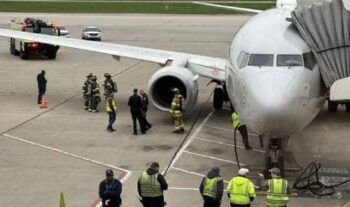 Ave provoca incendio en turbina de un avión