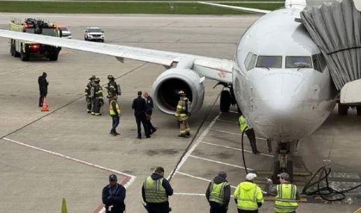Ave provoca incendio en turbina de un avión
