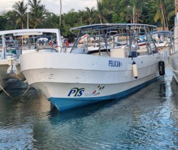 La comandancia general de la Armada Dominicana dispuso una exhaustiva investigación