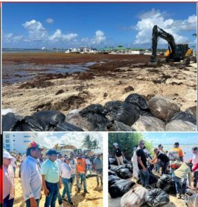 Playa de Boca Chica en estado de emergencia por Sargazo