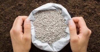 Japón recurre a fertilizantes fabricados con heces humanas