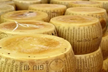 Hombre muere aplastado por 25.000 quesos Grana Padano