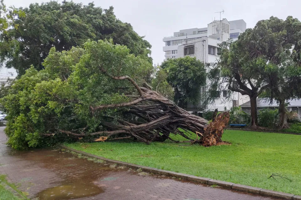 Fuerte tifón paraliza el tráfico aéreo en el sur de Japón