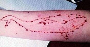 Joven muere tras recibir varias puñaladas mientras jugaba a ‘Ballena Azul’ en Portugal