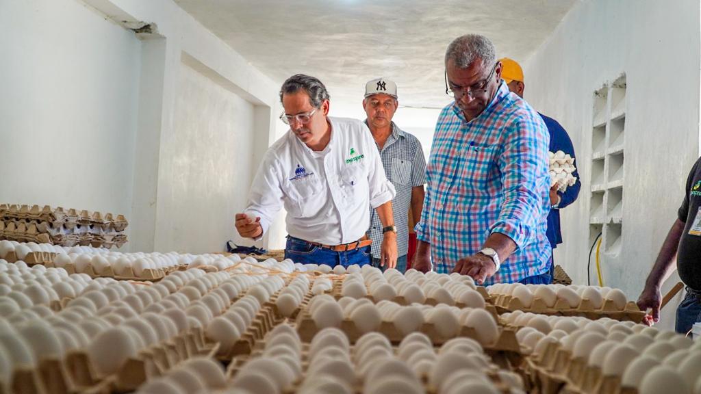 Inespre inicia compra de pollos y huevos a productores de Dajabón
