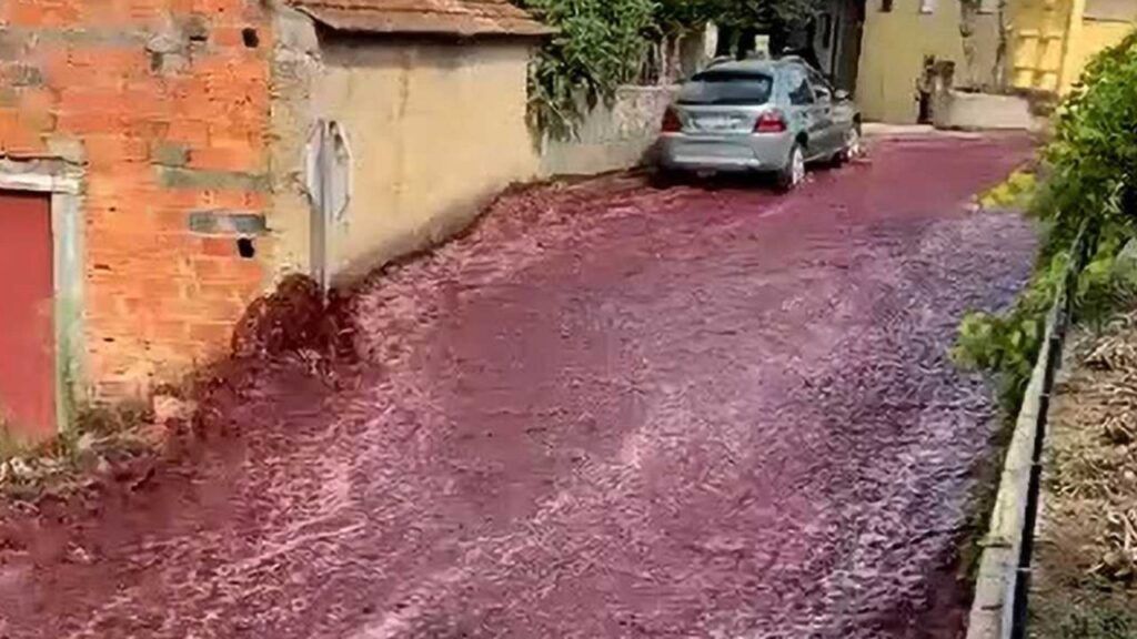 Inundación de vino tinto en Portugal
