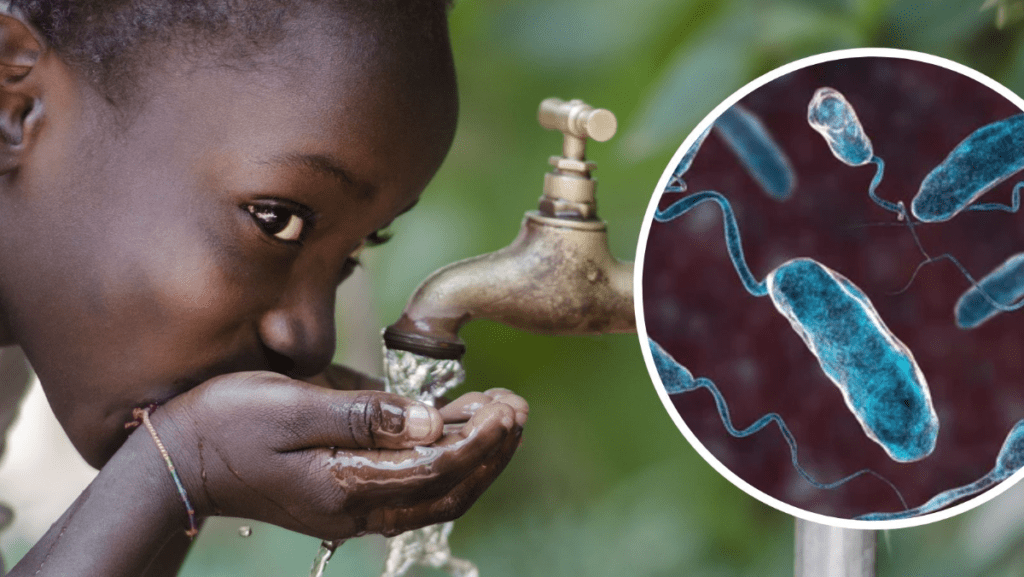 La OMS alerta de un resurgimiento de los casos globales de cólera
