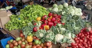 Agricultura afirma el país está produciendo lo necesario para una buena alimentación