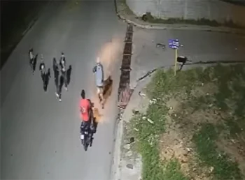 Grupo armado genera terror en Manoguayabo