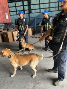 Nueva unidad canina K9 de DGA decomisa más de USD$240 mil dólares y múltiples armas