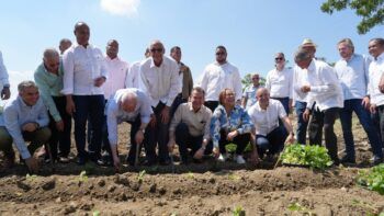 Autoridades inician zafra tabacalera 2023-2024.