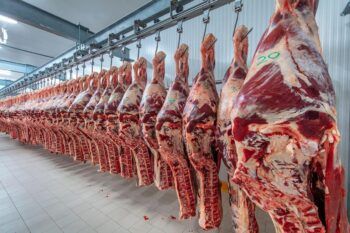 Agricultura responde a acusación de importación de carnes desde Brasil