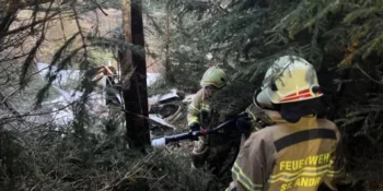 Accidente aéreo deja cuatro muertos en Austria