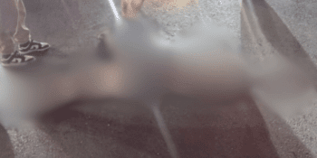 Muere joven arrastrada por un carro en La Vega