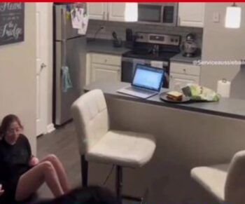 Su perro le salva la vida