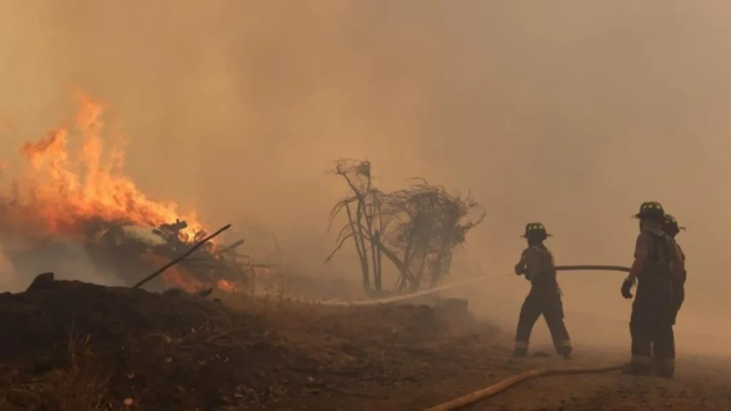 Incendios llevan 64 muertos en Chile