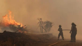 Incendios llevan 64 muertos en Chile