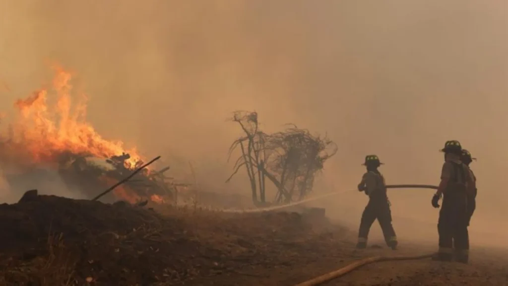 Suben a 51 los fallecidos en los incendios de Chile