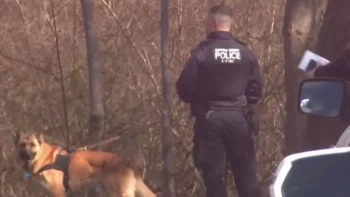 Niños encuentran un brazo humano en parque de Long Island