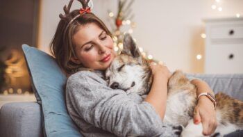 Interactuar con perros alivia el estrés