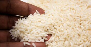 Preocupación por presencia de arsénico y metales pesados en arroz americano