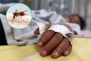 El dengue ha cobrado la vida de 197 personas en Argentina
