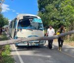 Minibús choca con una mata de coco en Barahona