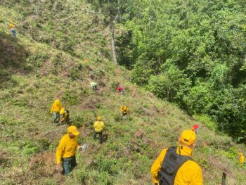 Programa Nacional de Manejo del Fuego destaca que los incendios forestales se redujeron