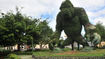 Eliminarán los emblemáticos animales del parque Zooberto