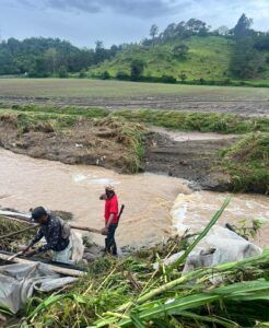 Productores agropecuarios agradecen intervención del Gobierno en Constanza