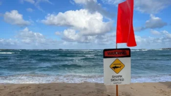 Surfista muere atacado por un tiburón en Hawaii