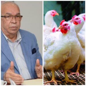 Administrador Banco Agrícola afirma «no hay escasez de pollos»