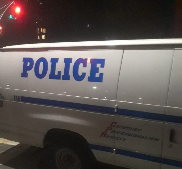 Tiroteo deja seis heridos afuera de parque en Nueva York