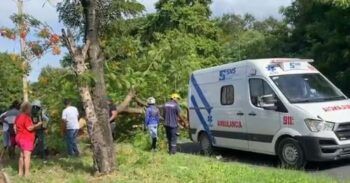 Hombre herido tras caerle árbol encima en la Avenida Iberoamericana