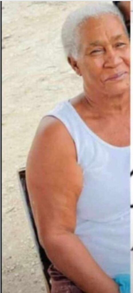 Mujer muere atacada por abejas en Bahoruco