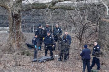 Encuentran cadáver colgado en parque de Nueva York