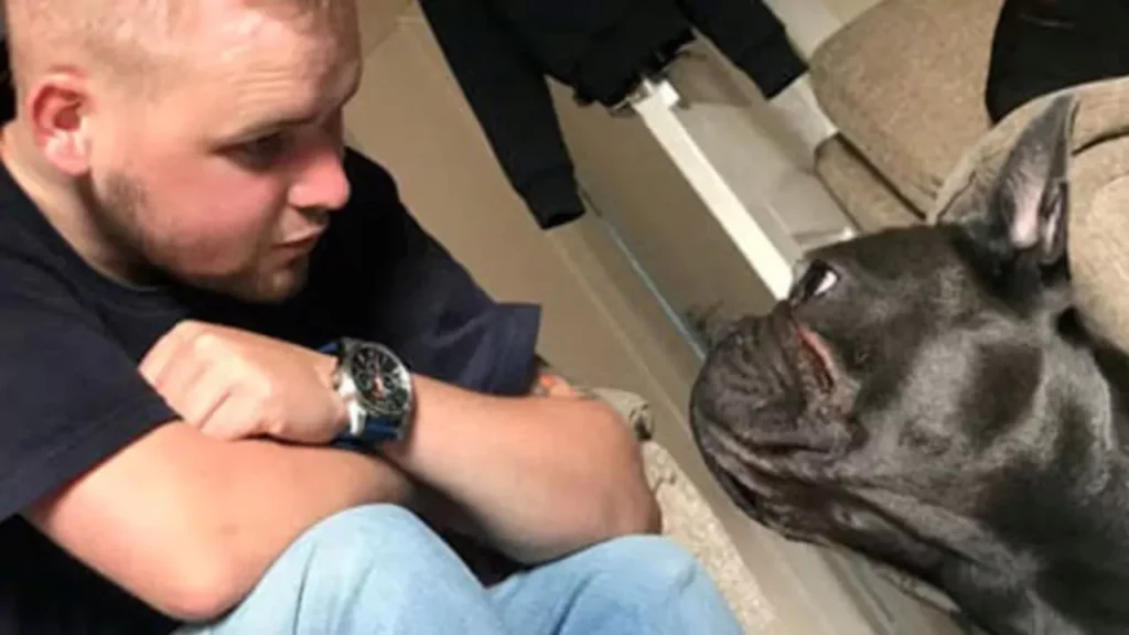 El perro que no soportó la tristeza y murió 15 minutos después que su dueño