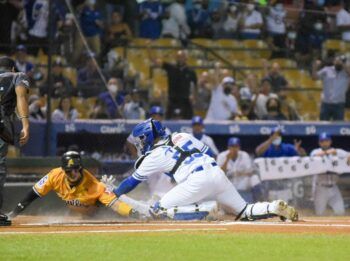 Licey confirma irá a PR junto a Águilas a Serie Titanes 2024