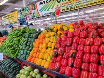 Agricultura: “RD logra récord en producción de vegetales en invernaderos