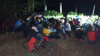 Detienen 378 haitianos ilegales en operativos fronterizos