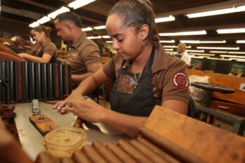 Empresa de cigarros premium de Santiago amplía su centro de producción por alta demanda