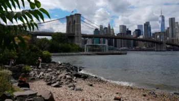 Encuentran hombre muerto bajo el Brooklyn Bridge de Nueva York