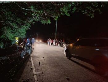 Muere hombre tras chocar motocicleta con una vaca