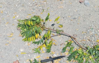 Hombre mató a otro por 50 pesos en San Juan