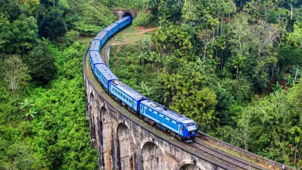 Mujer muere al caer de un tren en marcha mientras se tomaba un selfi