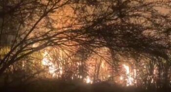 Incendio afecta entrada de San Pedro de Macorís